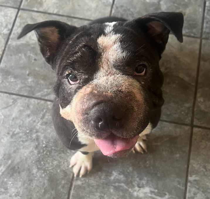 Photo of Azula