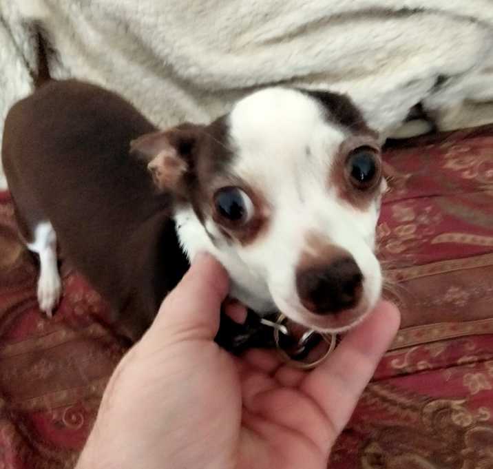 Photo of Molly