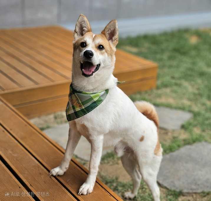 Photo of Saetbyeol