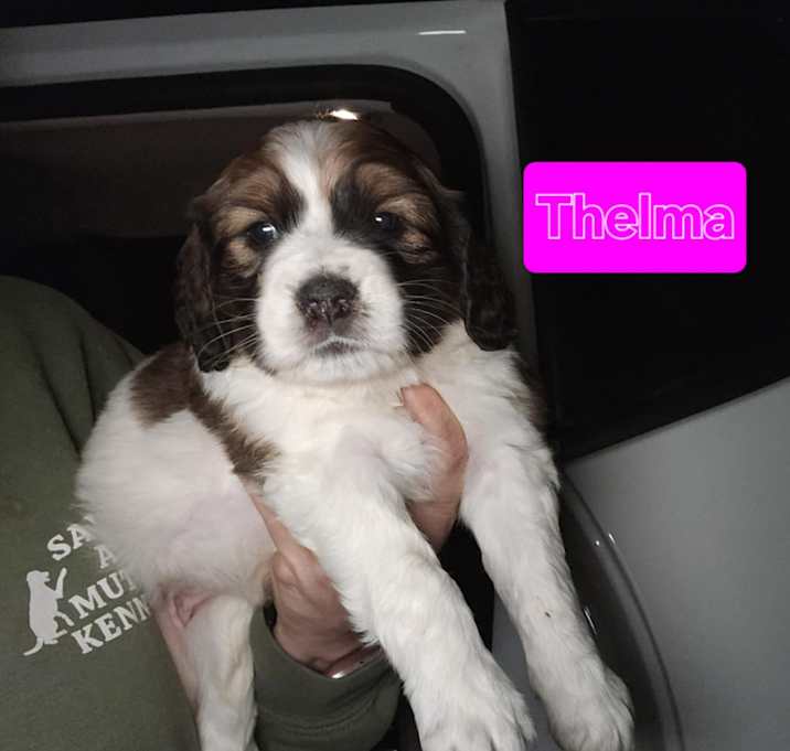Photo of Thelma