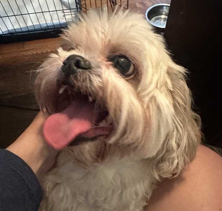 Photo of Buccee