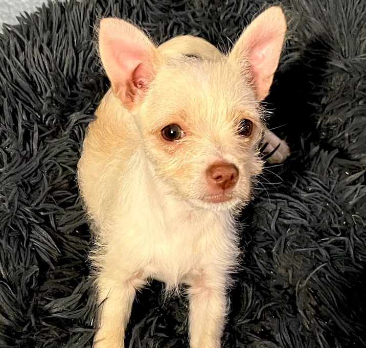 Photo of Sophie