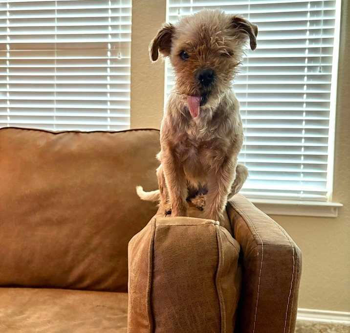 Photo of Annie