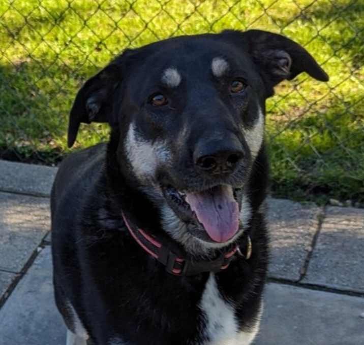Photo of Reign