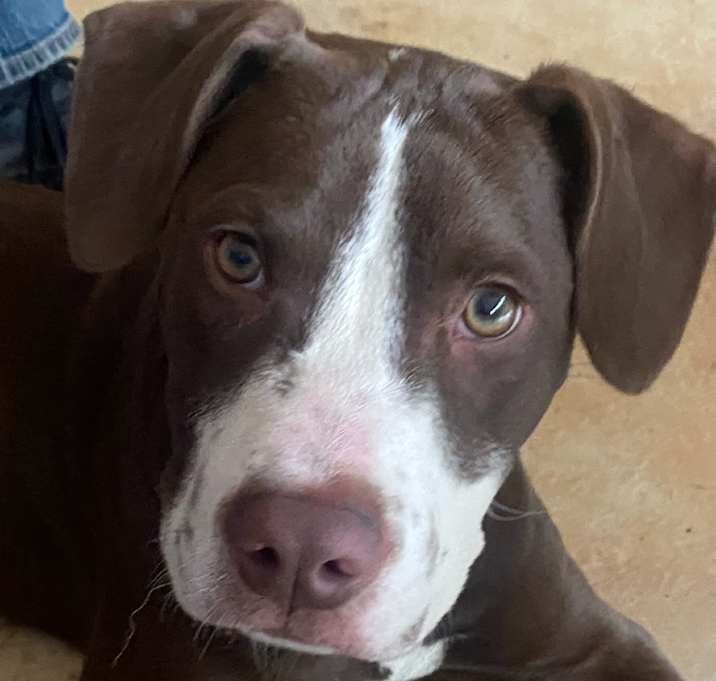 Photo of Charlie