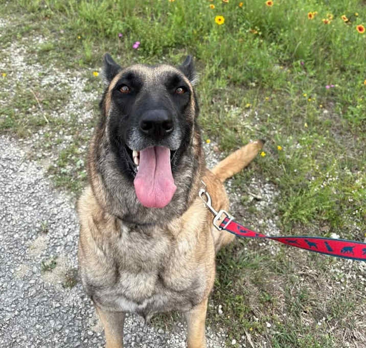 Photo of Kita