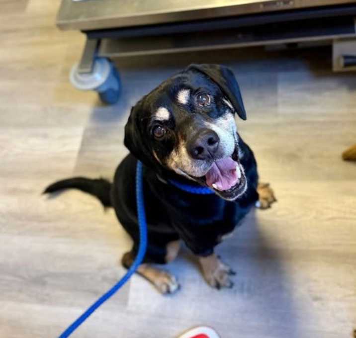 Photo of Benny
