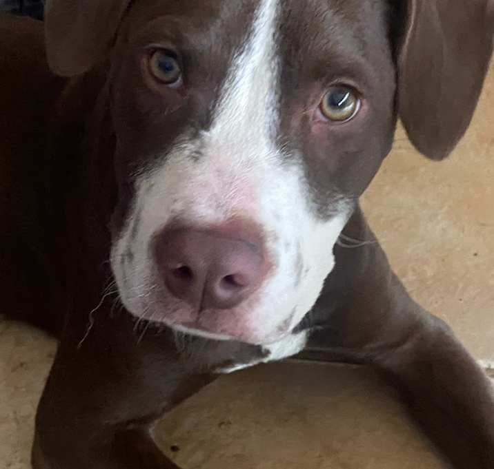 Photo of Charlie