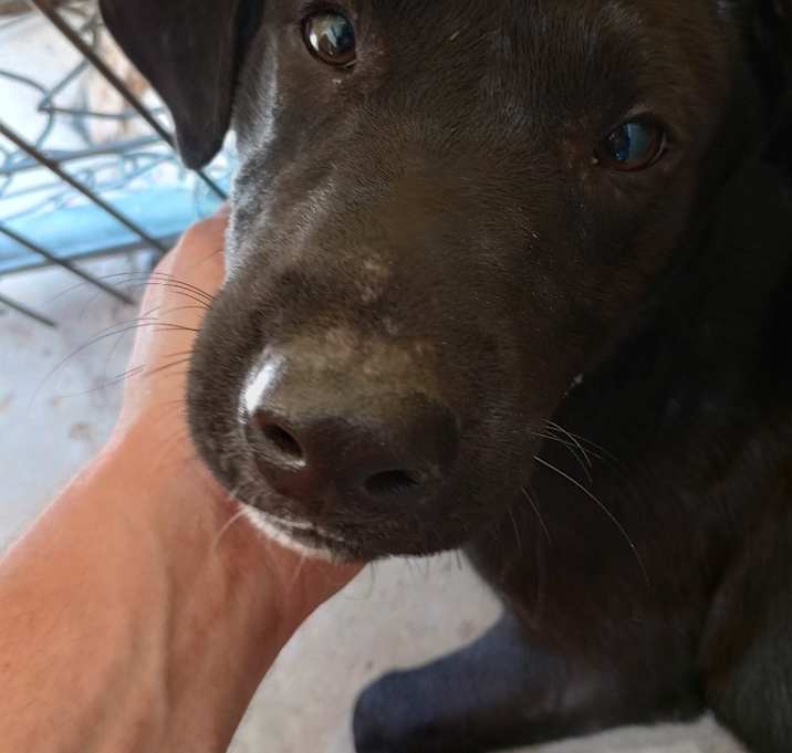 Photo of Jack