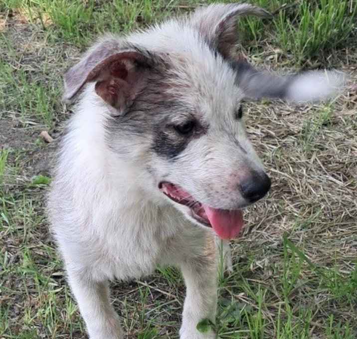 Photo of Brother