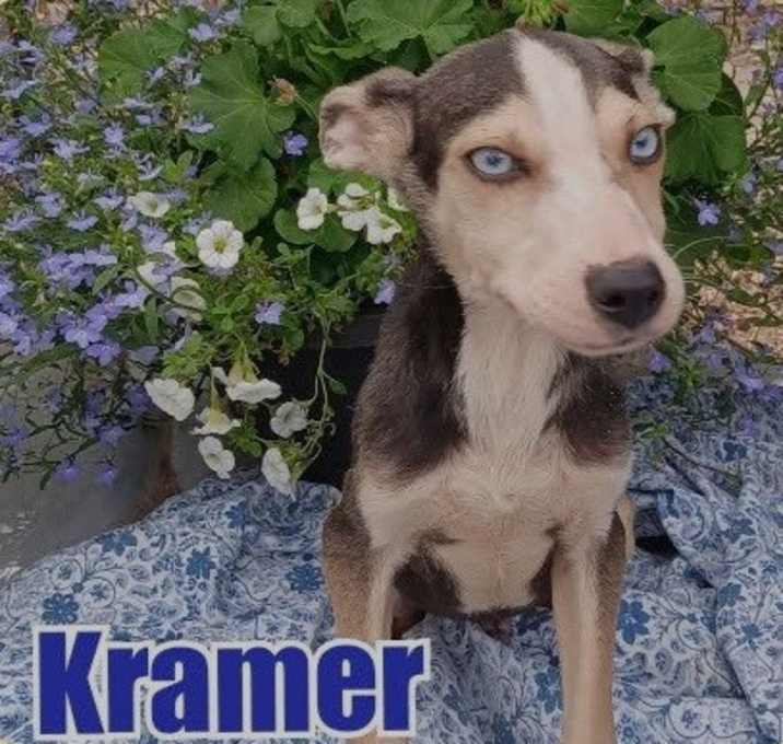 Photo of Cramer