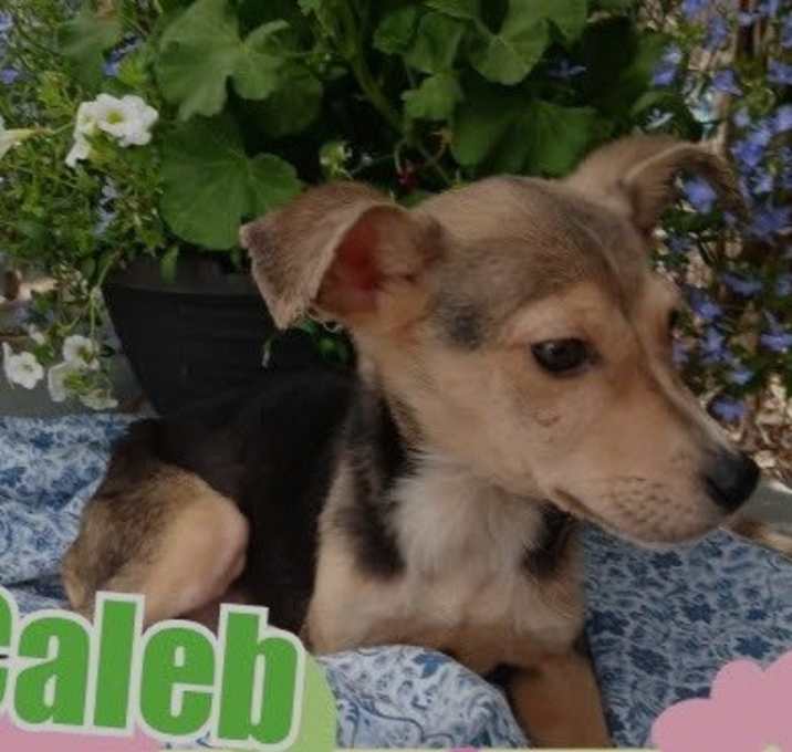 Photo of Caleb
