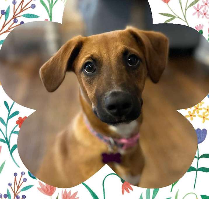 Photo of Maggie