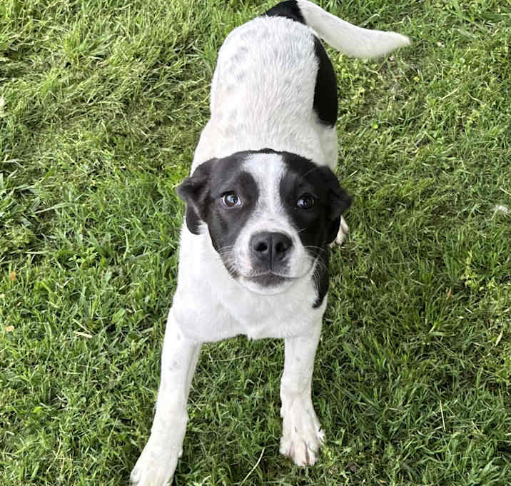 Photo of Cleo