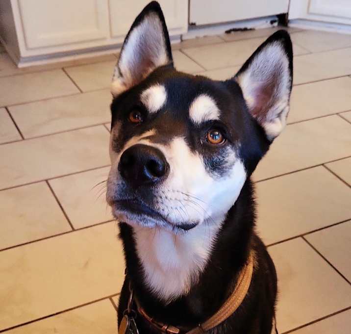 Photo of Chase