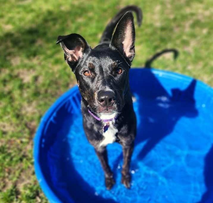Photo of Zada