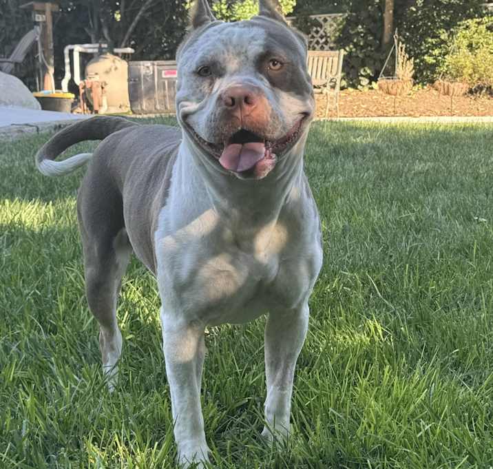 Photo of Bonnie