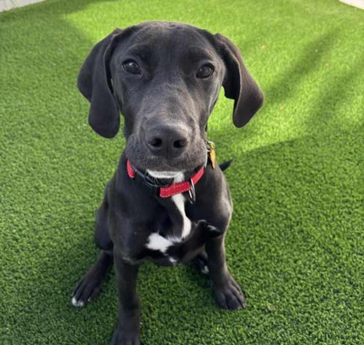 Photo of Ernie