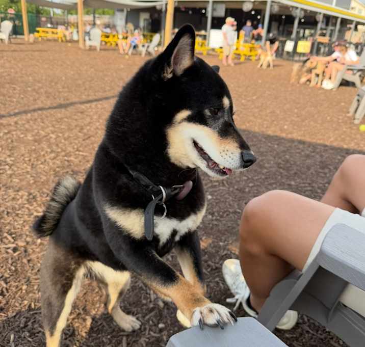 Photo of Moka