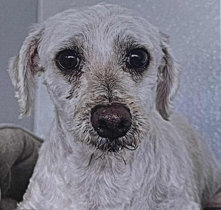 Photo of Arthur