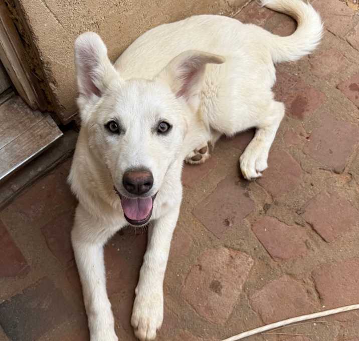 Photo of Lulu