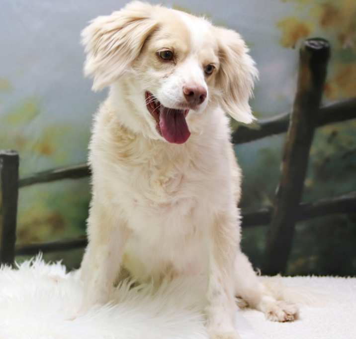Photo of Peanut