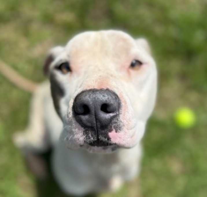 Photo of Melvin 