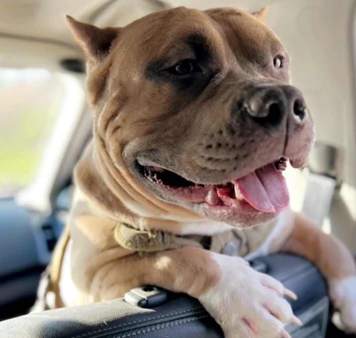 Photo of Zeus