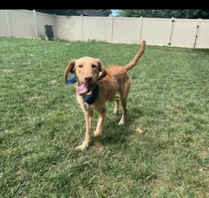 Photo of Oliver