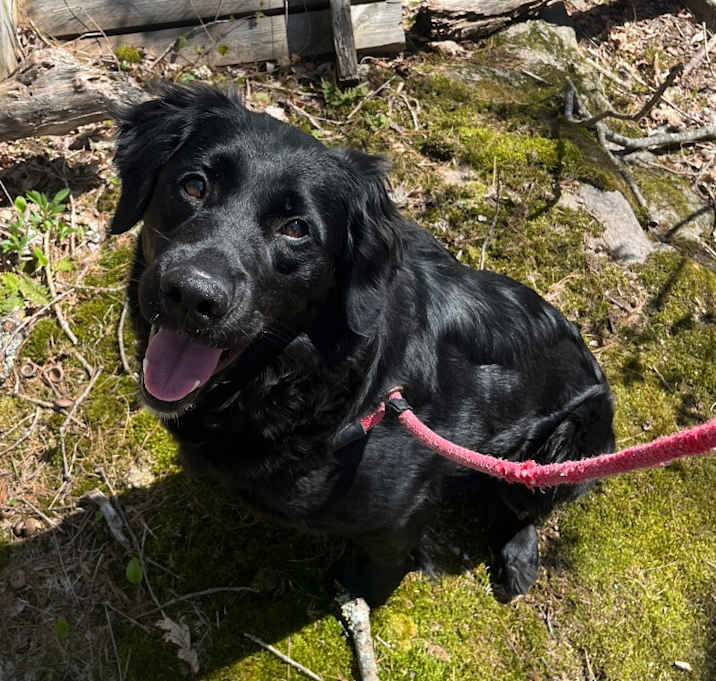 Photo of Mimi