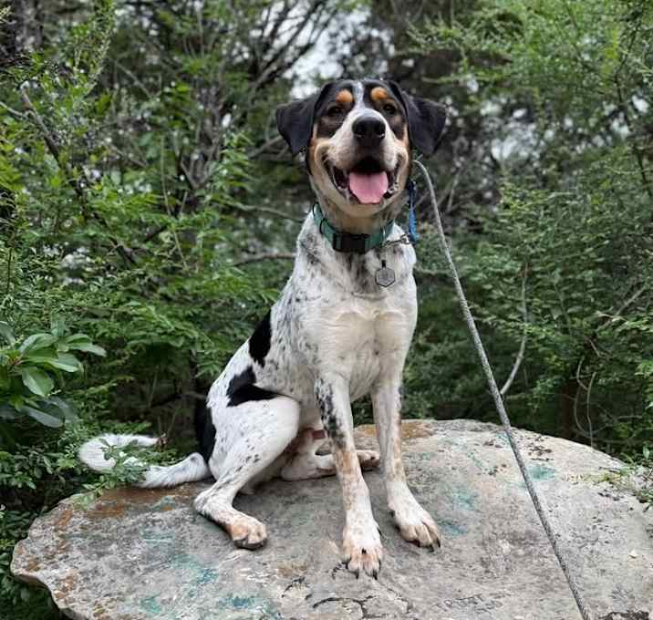 Photo of Zeus