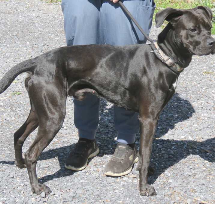 Photo of Grendel