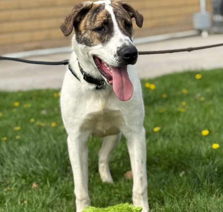 Photo of Max