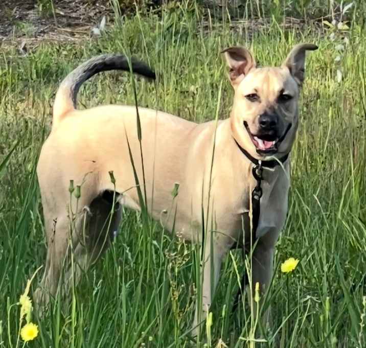 Photo of Oliver