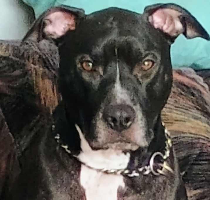 Photo of Zeus