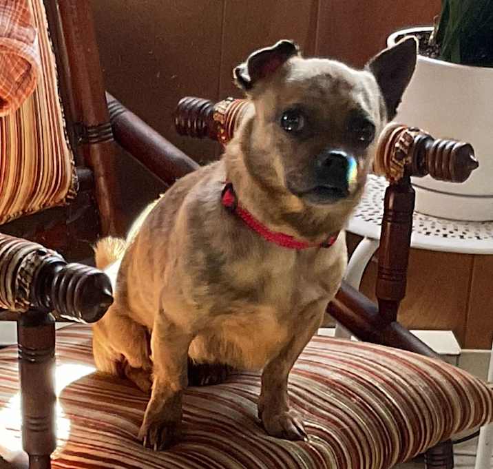 Photo of Addie