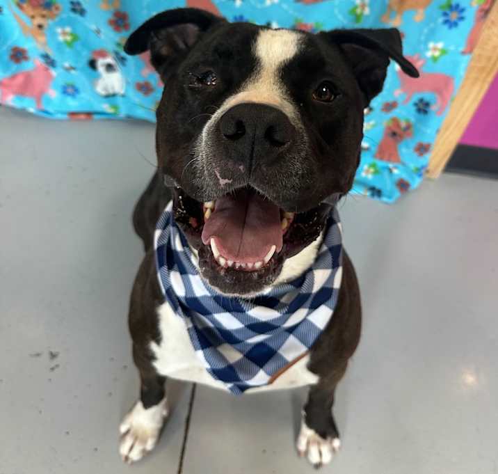 Photo of Beefcake