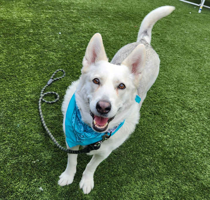 Photo of Aspen