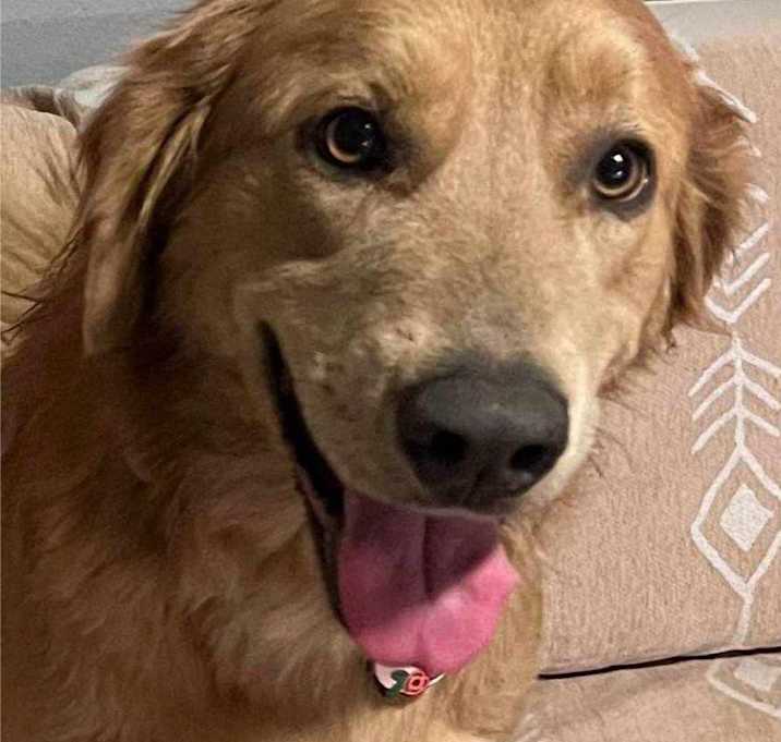 Photo of Ellie