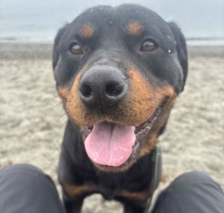 Photo of Missy