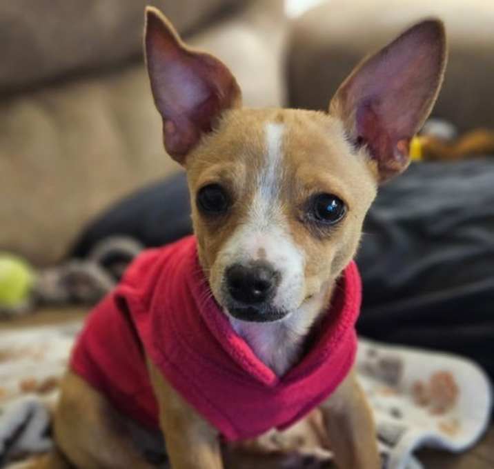 Photo of Ginny