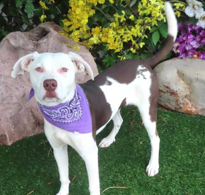 Photo of STAR
