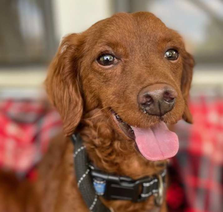 Photo of Red Max