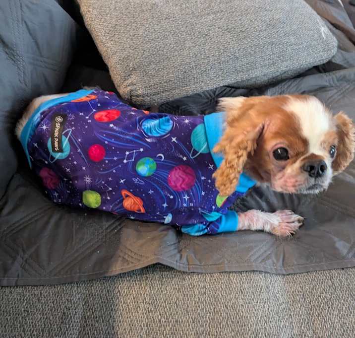 Photo of Duke