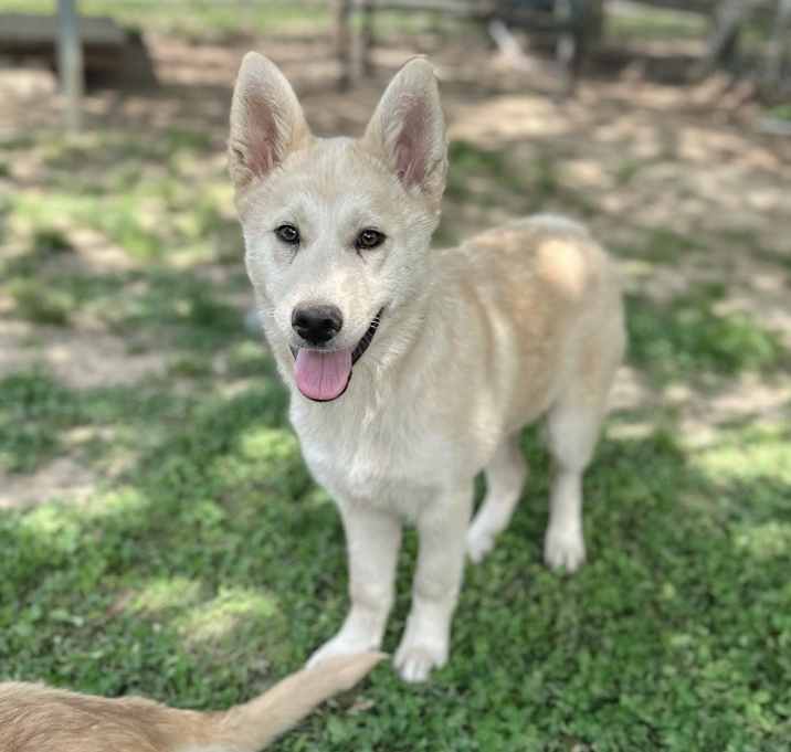 Photo of Emmi