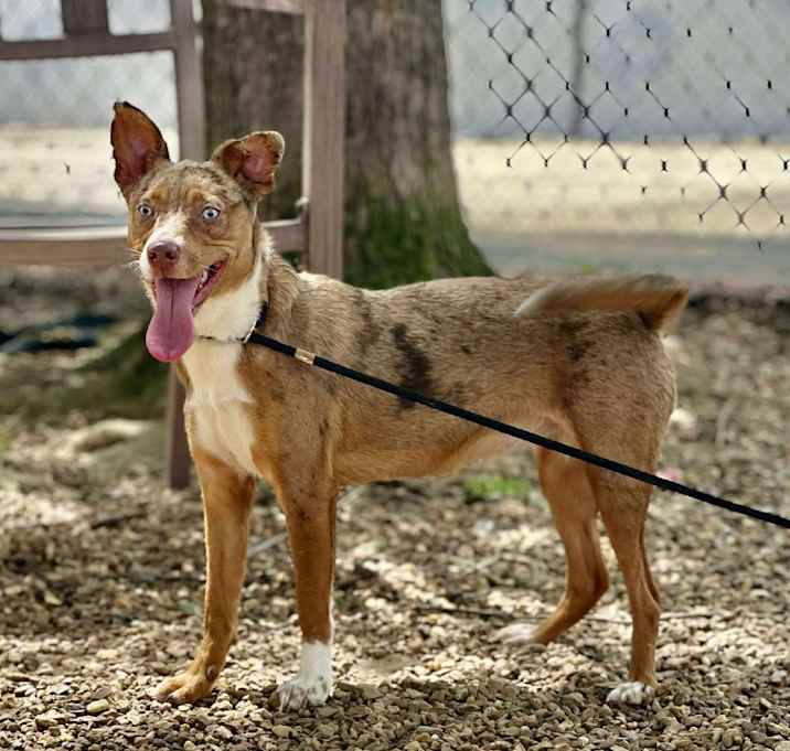 Photo of Edna 