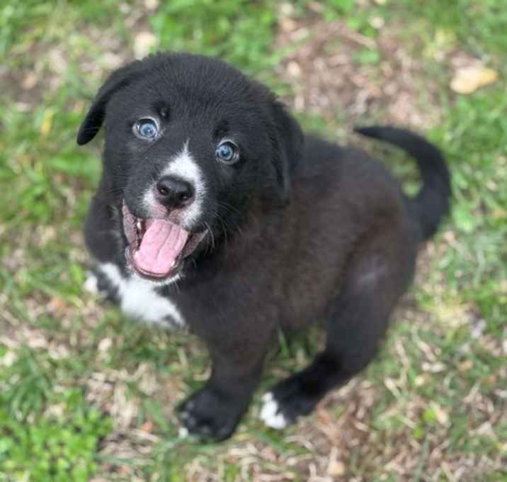 Photo of Cosmos