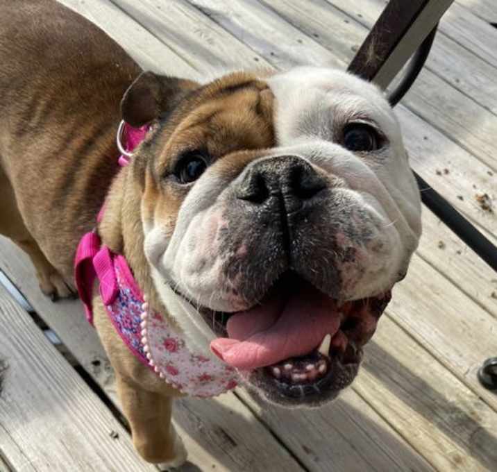 Photo of Eloise
