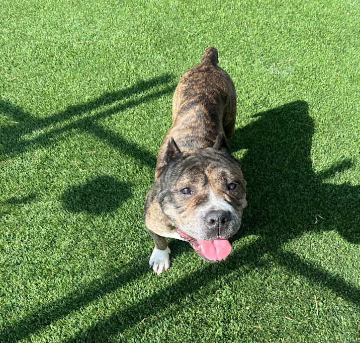 Photo of Lola