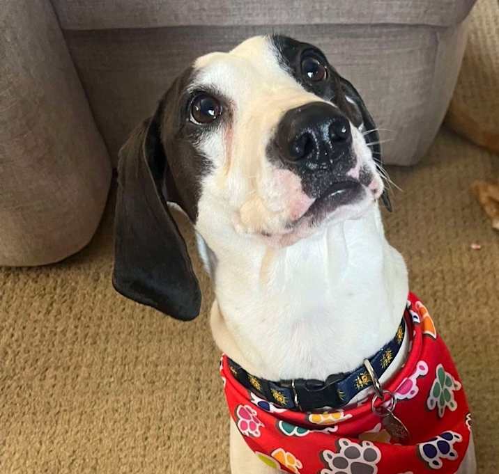 Photo of Chance